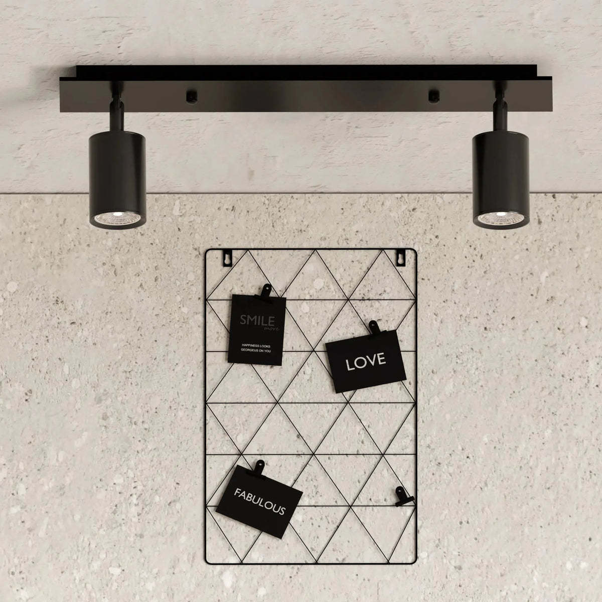 Ceiling Light