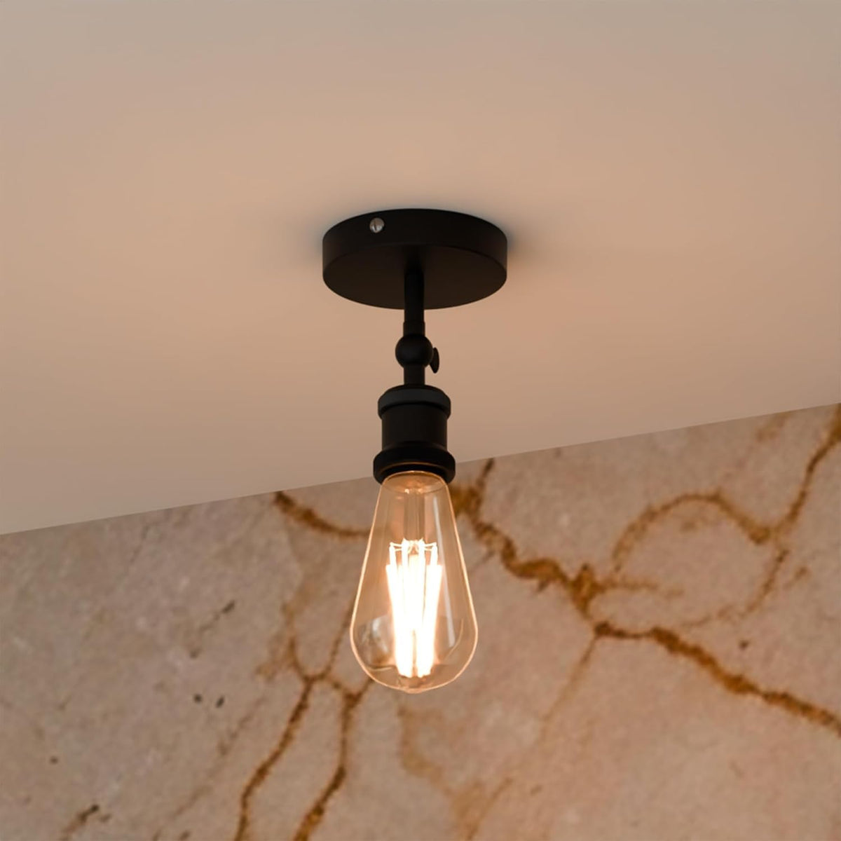 adjustable light fixture ceili