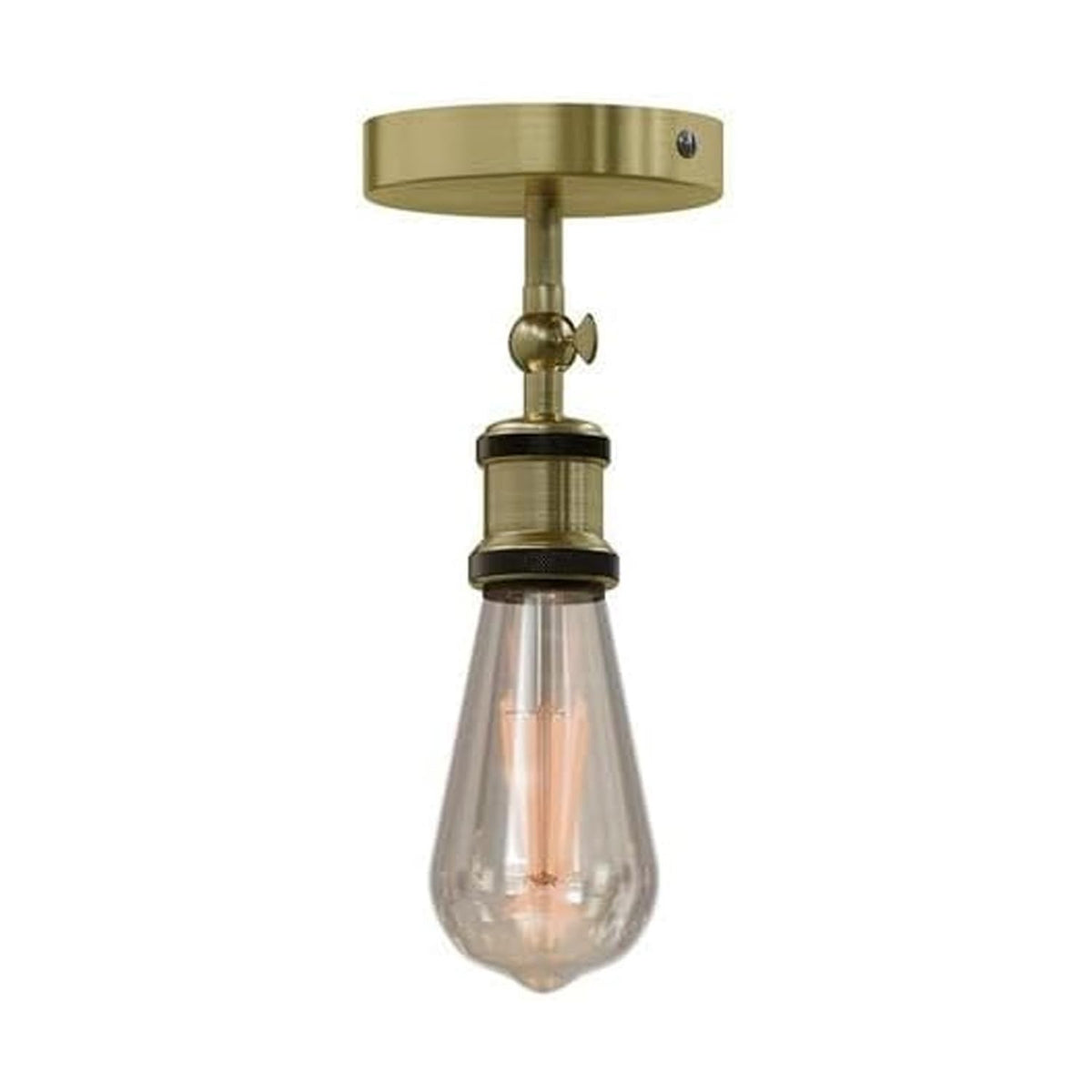 adjustable light fixture ceili